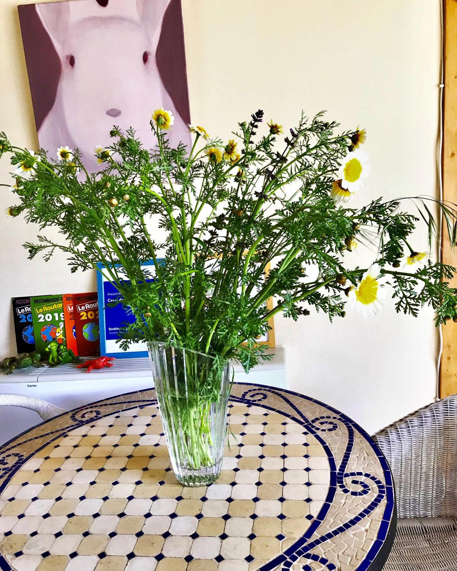 Casal Da Eira Bed & Breakfast Sao Bras de Alportel Ngoại thất bức ảnh